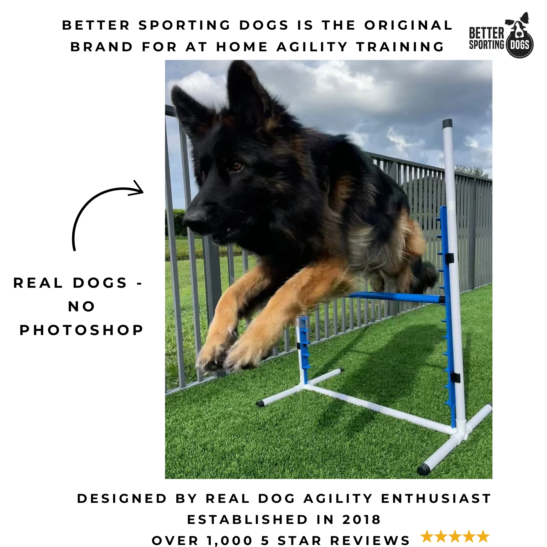 Better Sporting Dogs Adjustable Dog Agility Bar Jump - Image 4