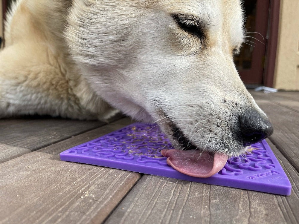 Bones Design eMat Enrichment Lick Mat - Image 6
