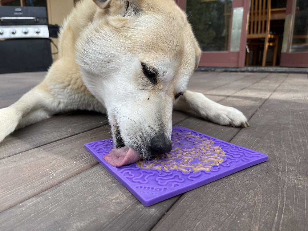 Bones Design eMat Enrichment Lick Mat - Image 9