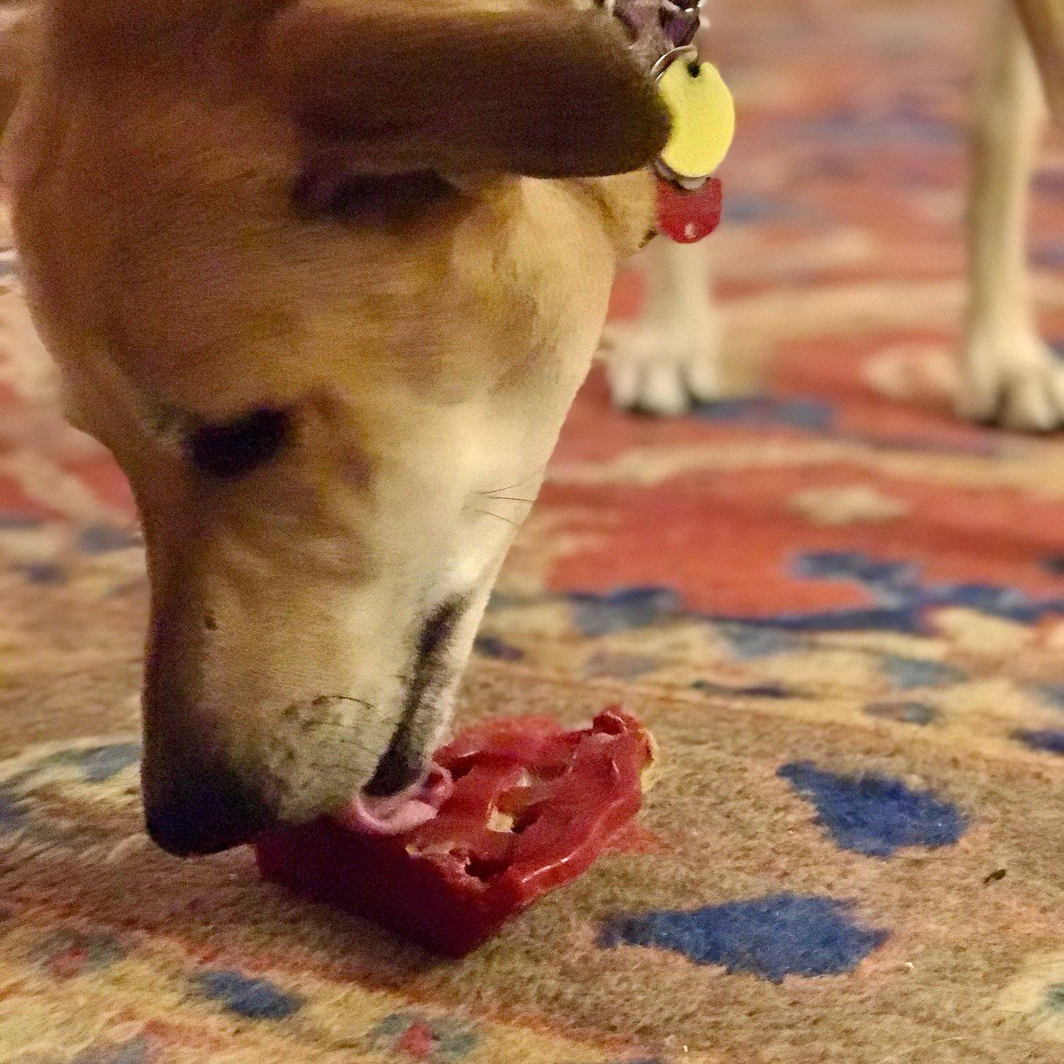 Cherry Pie eChew Ultra Durable Nylon Dog Chew Toy and Treat Holder - Image 6