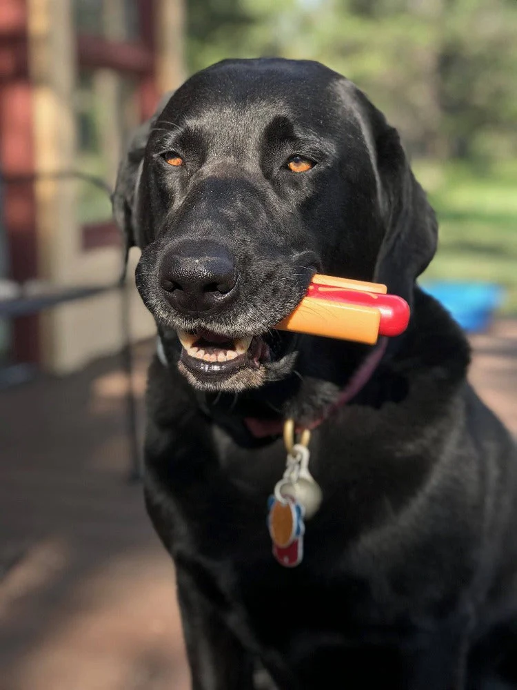 Hot Dog Ultra Durable Nylon Dog Chew Toy - Image 5