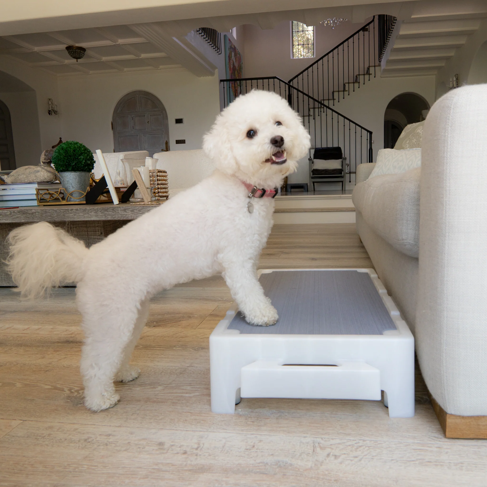 KLIMB Jr - Image 8