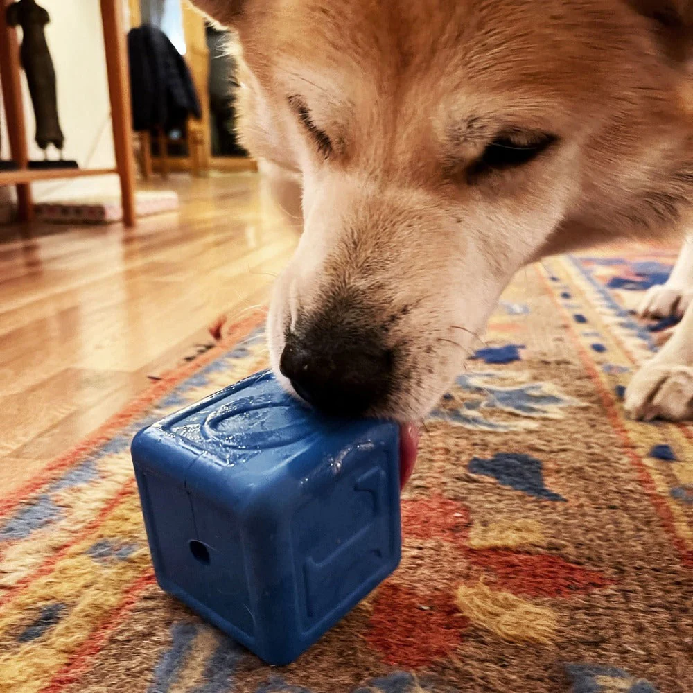 Love Cube eDispenser Durable Rubber Chew Toy & Treat Dispenser - Image 9