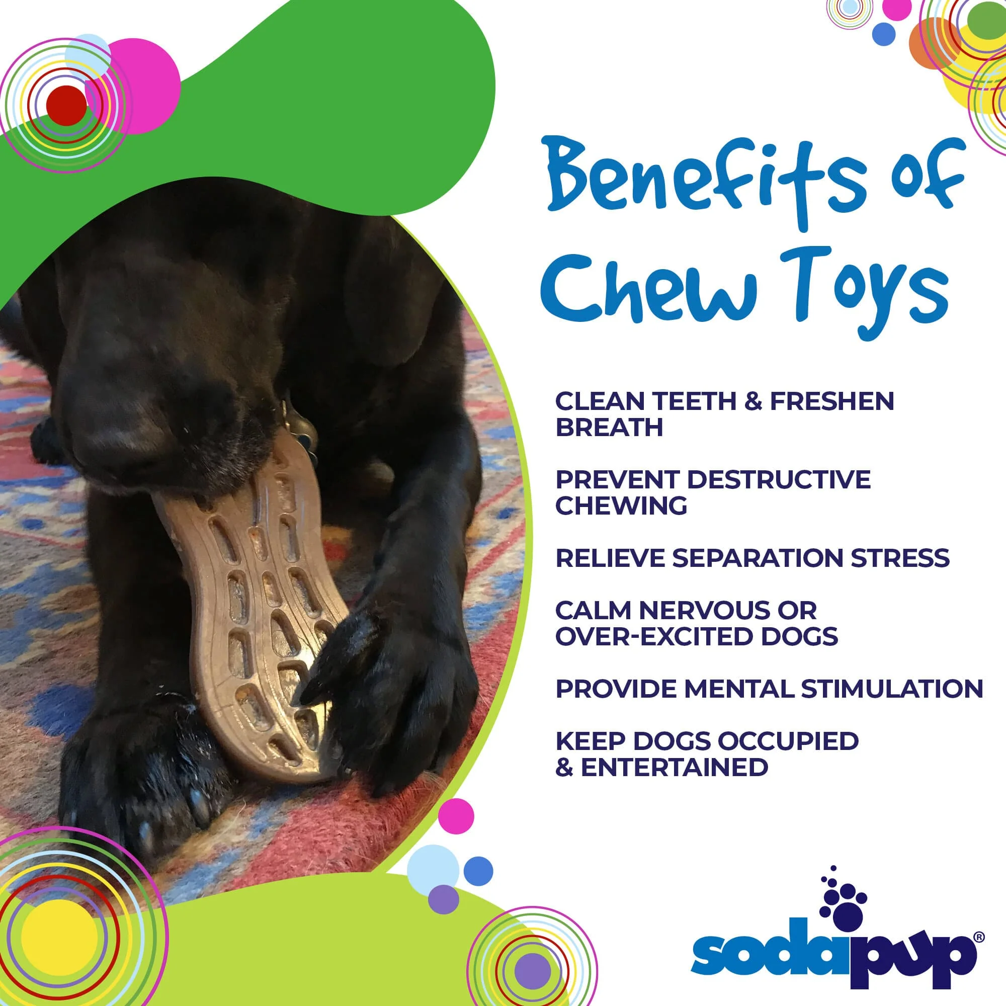 Peanut eChew Ultra Durable Nylon Dog Chew Toy - Image 4