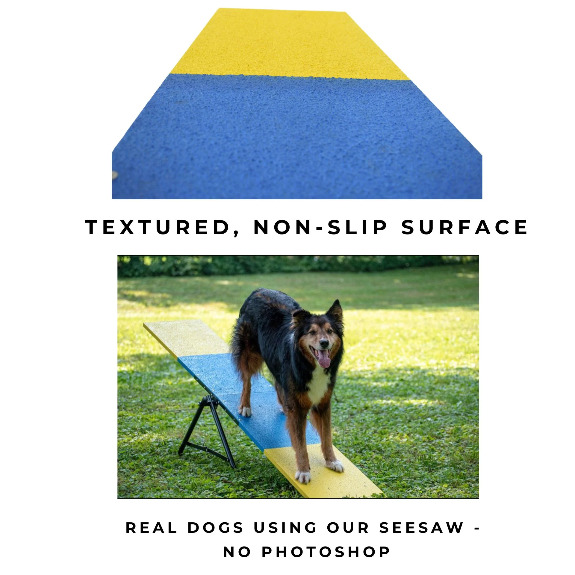 [Restock expected mid June] Better Sporting Dogs Practice See Saw – Fully Assembled Practice Teeter for Dog Agility Training - Image 4