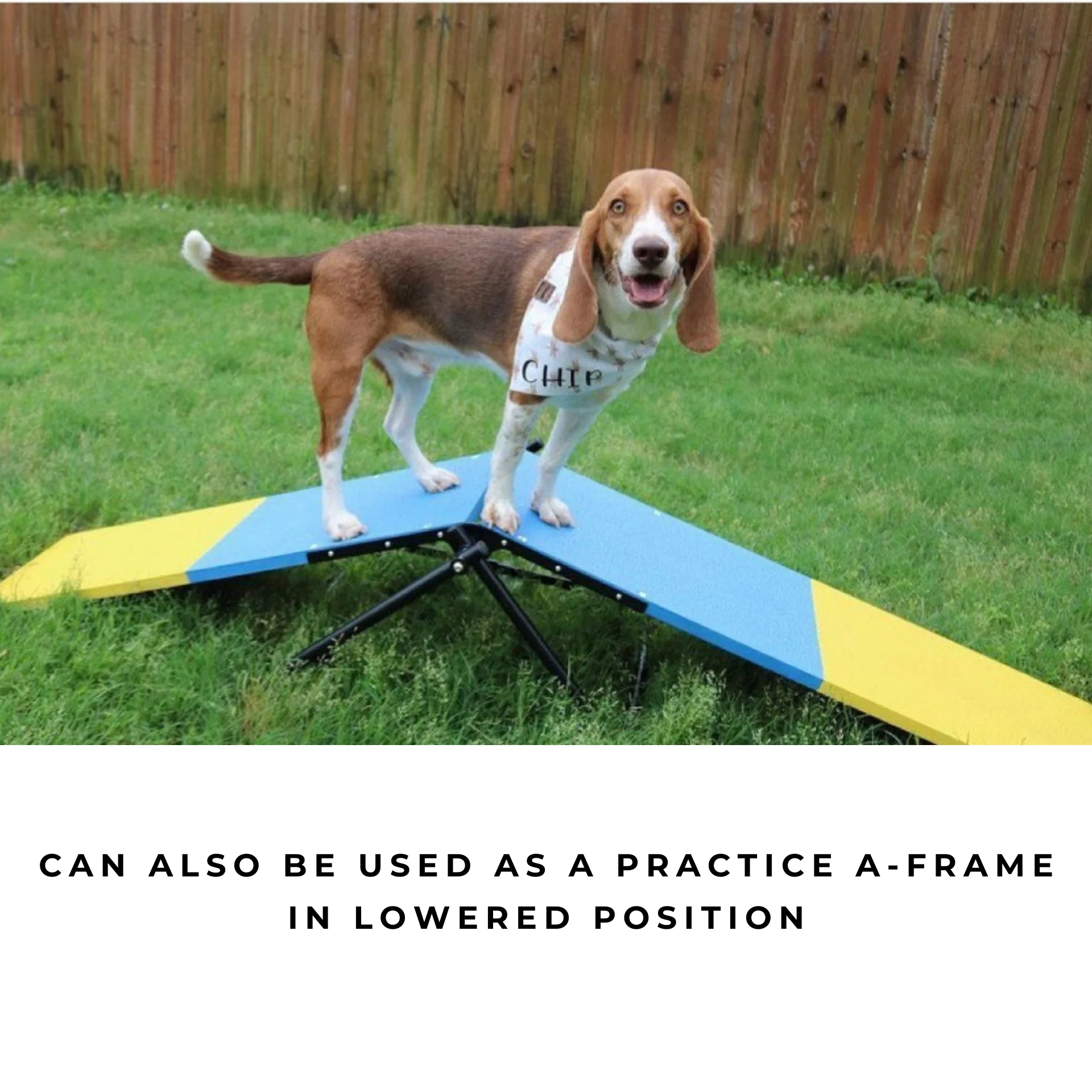 [Restock expected mid June] Better Sporting Dogs Practice See Saw – Fully Assembled Practice Teeter for Dog Agility Training - Image 7
