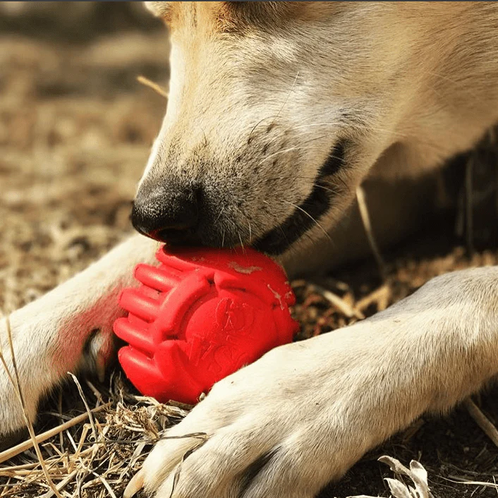 USA-K9 Stars and Stripes Ultra-Durable Rubber Chew Ball - Image 7