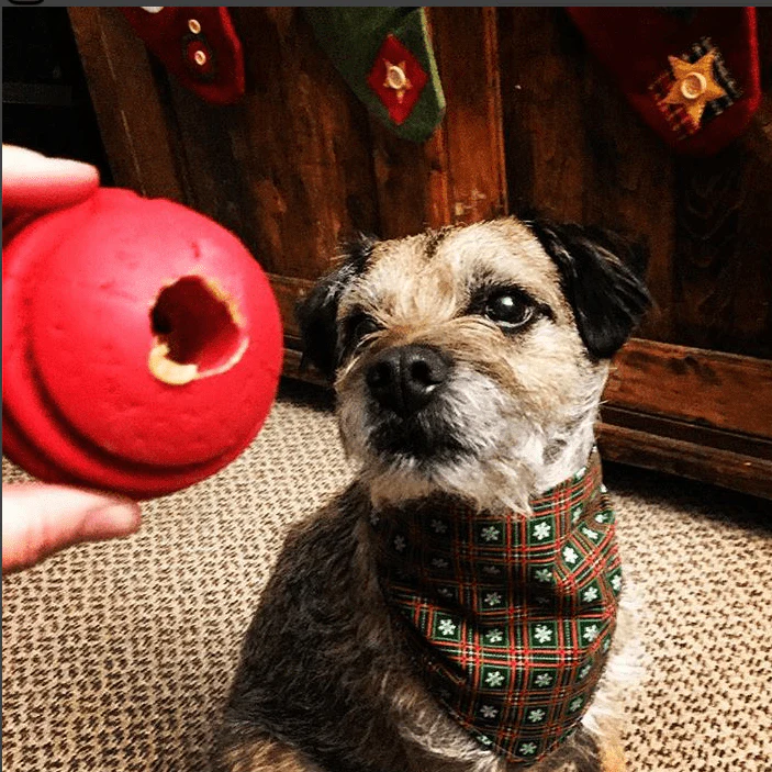 USA-K9 Stars and Stripes Ultra-Durable Rubber Chew Ball - Image 8