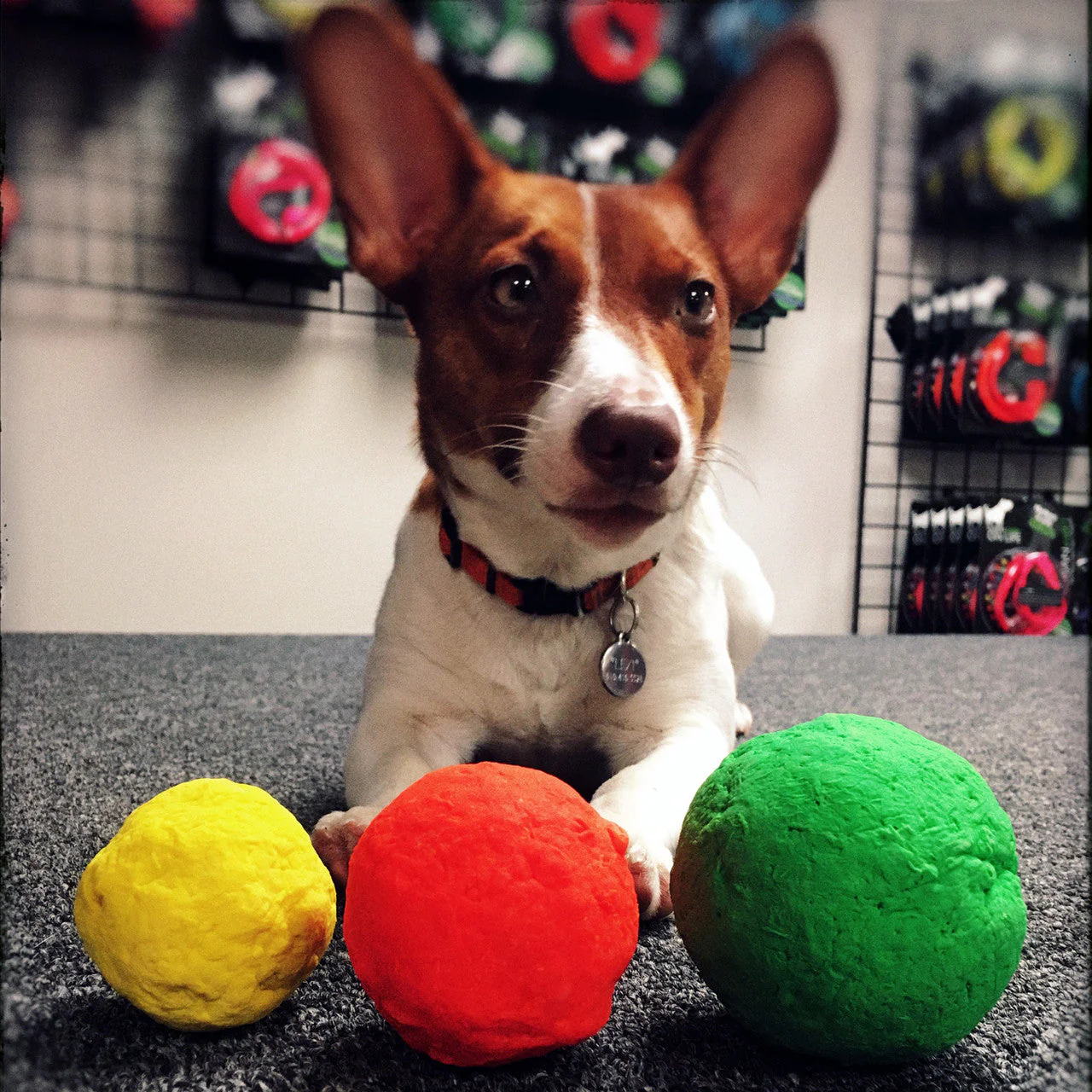 WUNDERBALL - Best Fetch Toy - Image 10