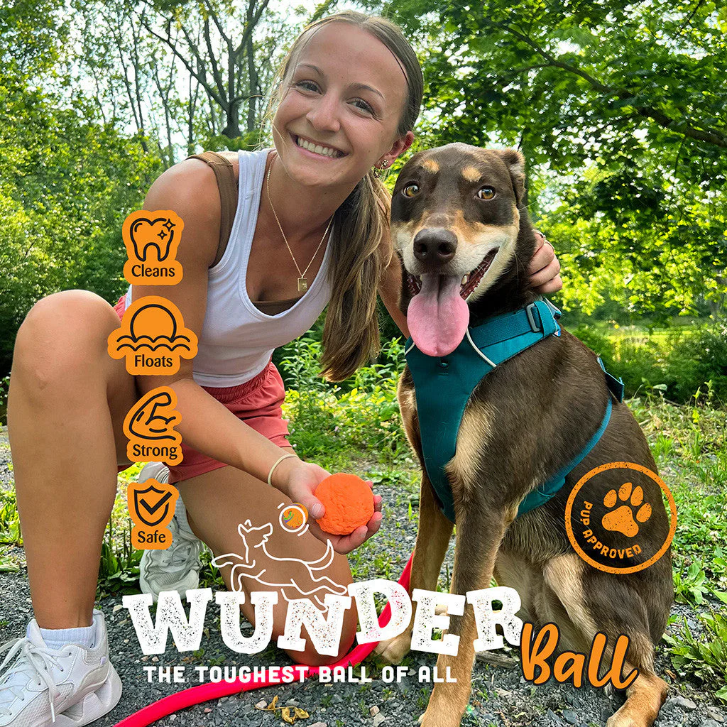 WUNDERBALL - Best Fetch Toy - Image 2
